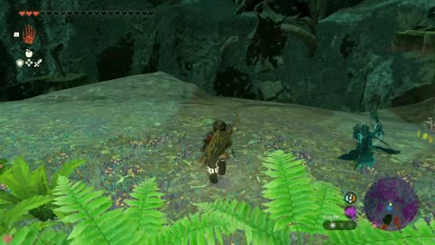 Legend of Zelda TotK