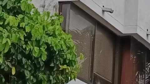 Rescate de joven que se quería quitar la vida