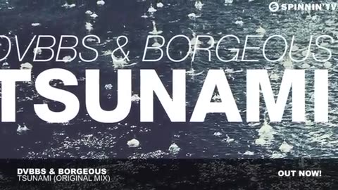 DVBBS & Borgeous - TSUNAMI (Original Mix)