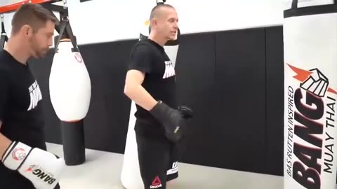 Tao of MMA: MMA Striking by Trevor Wittman and Duane Ludwig 2