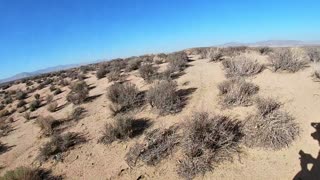 🔴POWERSPORTS, FESTS, SIMS/GAMING, COMEDY, TRAVELNSHEZ