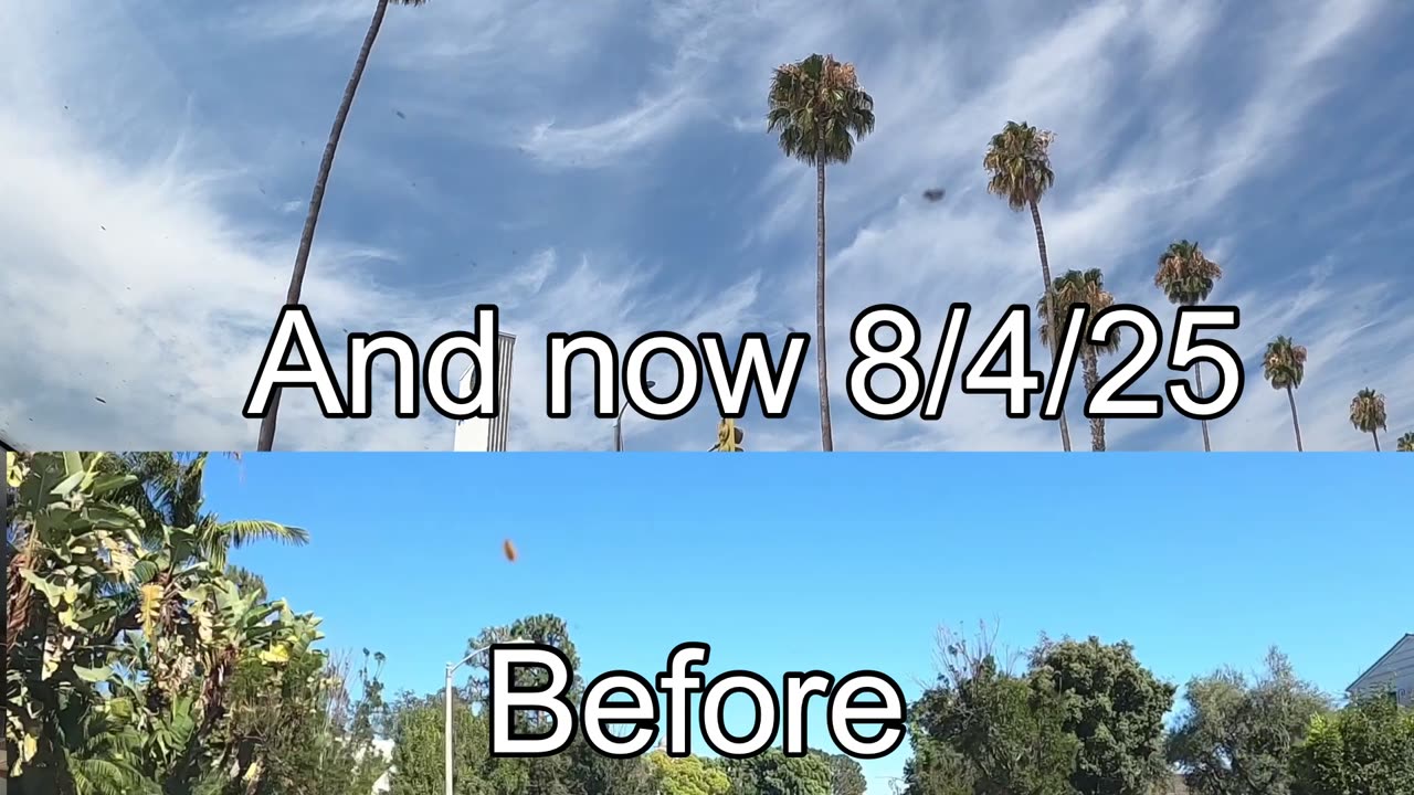 The honeymoon is over five weeks and that’s it they are spraying us like cockroaches again.