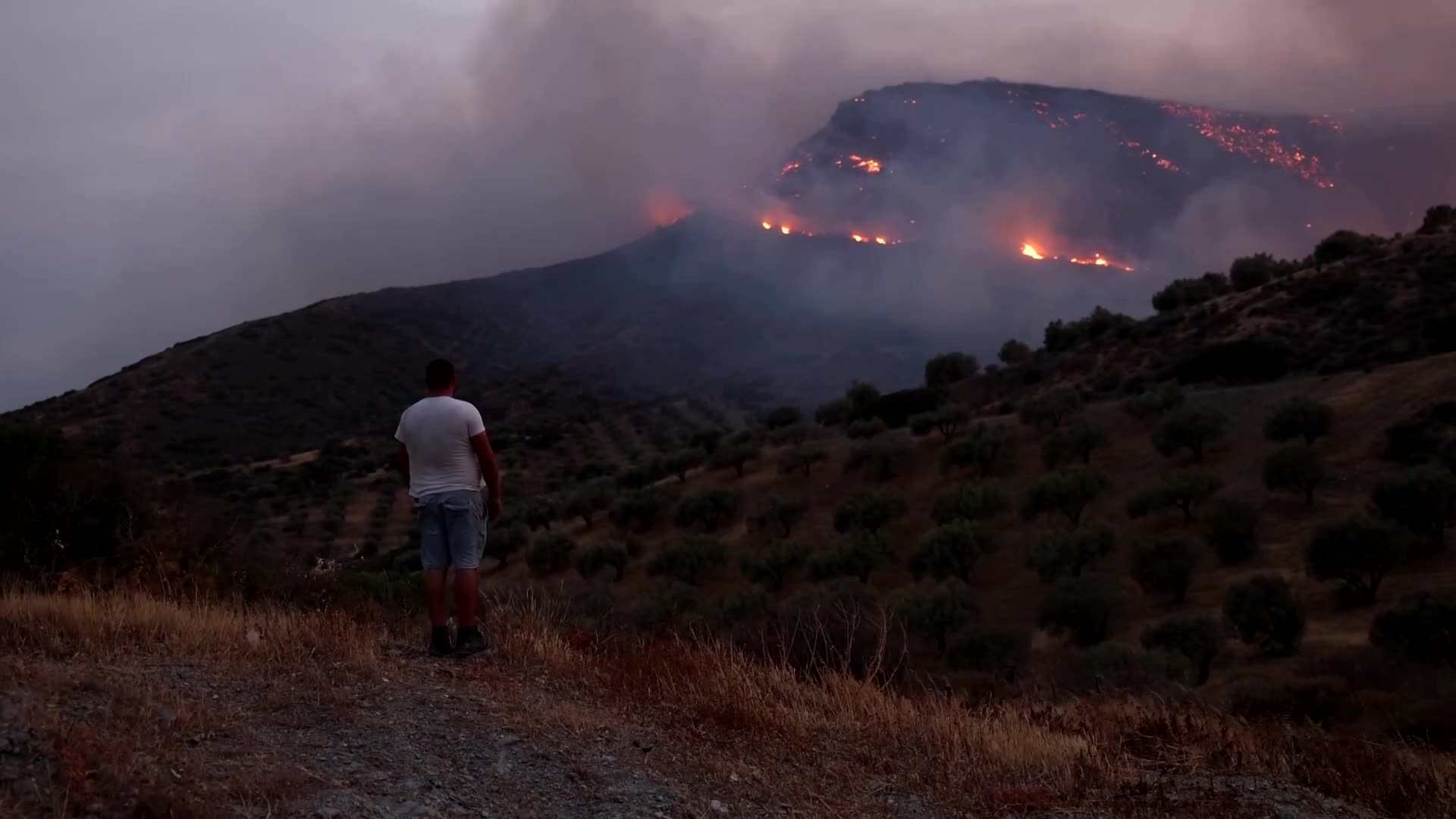 Strong winds fan deadly wildfires on the outskirts of Athens