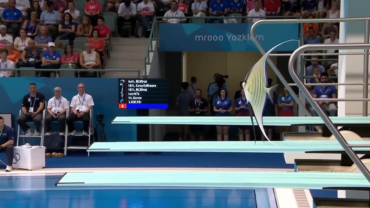 Which Fish Wins Gold _ Animal Olympics
