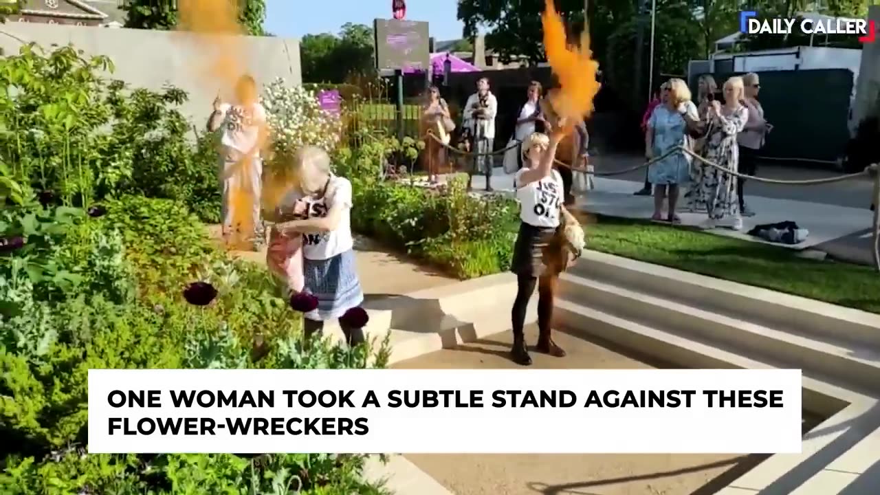 'Just Stop Oil' Protestors Getting Wrecked