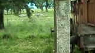 Estación de Trenes de Piedra Sola - Uruguay (2013)