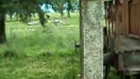 Estación de Trenes de Piedra Sola - Uruguay (2013)