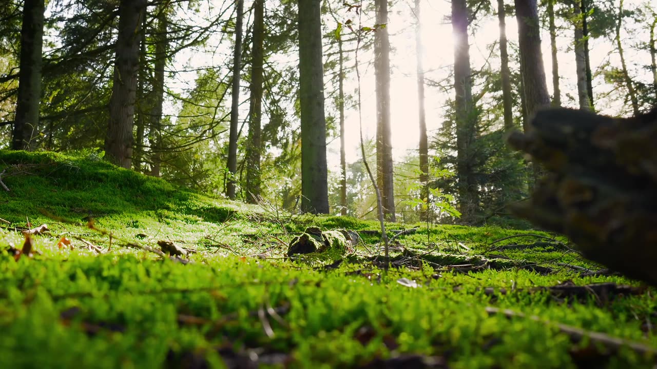 "Action is the foundational key to all success.