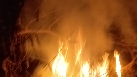 🔥 Controlled Fire Burning Test | Fire Science & Safety Explained