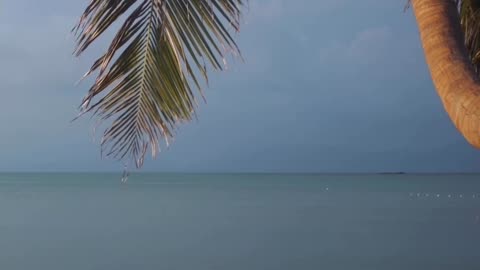 Peaceful Beach Vibes