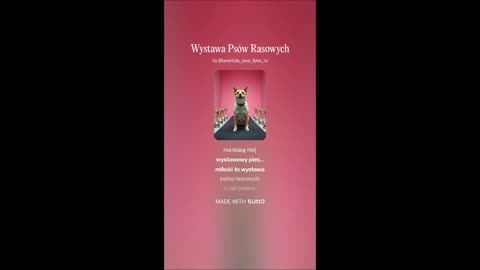 1 i 4 - Wystawa Psów Rasowych - tekst Ewa Lipka, śpiew i muzyka SI/AL 🎵 - 22.06.2025