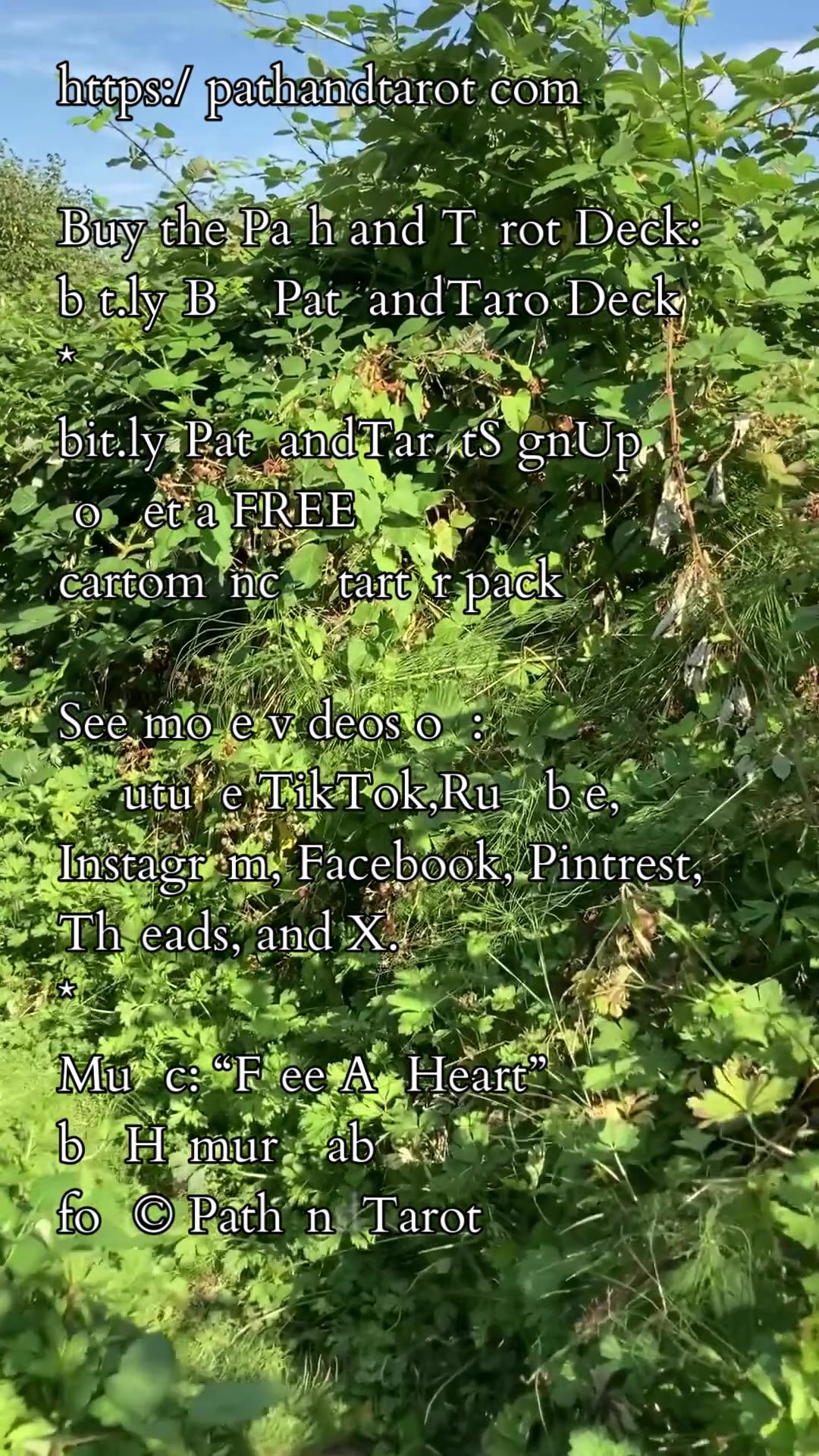 Command Over Grievance | Path and Tarot Reading