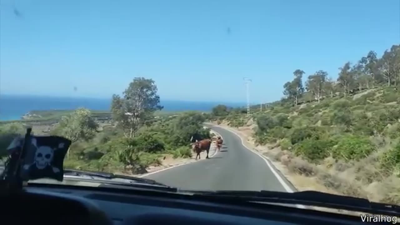 Funniest Video I Made