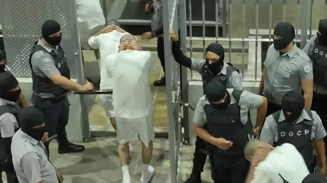 Nayib Bukele locked up 238 members of Tren de Aragua