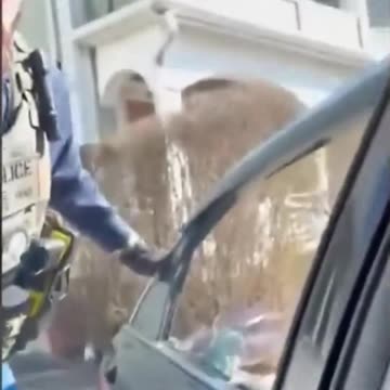 ICE heroically bashes open car to grab vile illegals