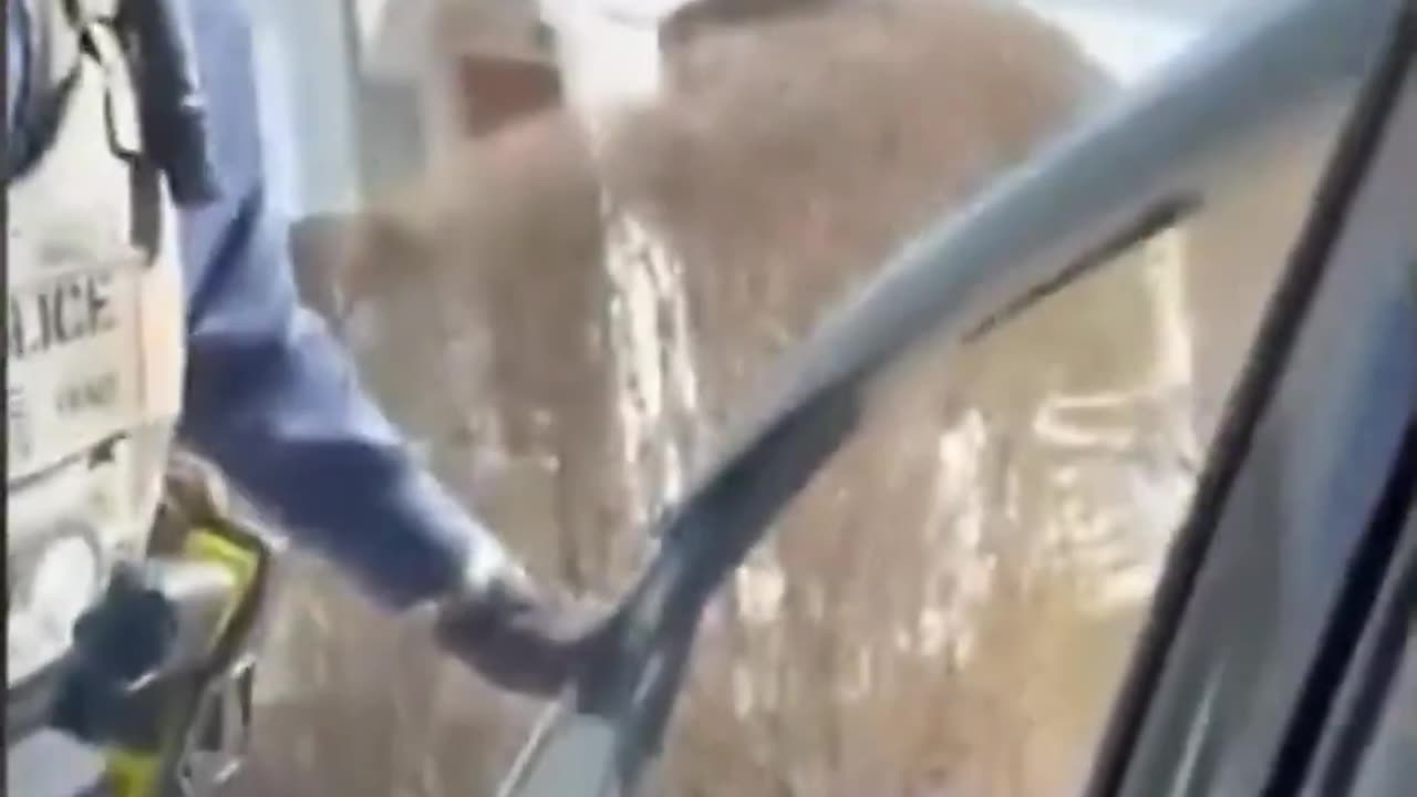 ICE heroically bashes open car to grab vile illegals