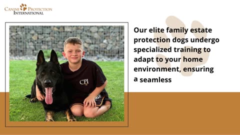 Why Protection Dogs Make Great Family Pets