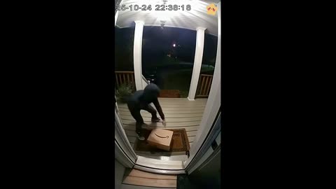BLUE PORCH PIRATES