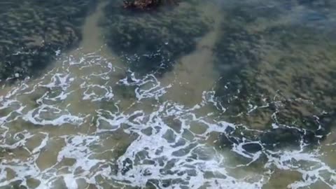 Chill Monterey Bay