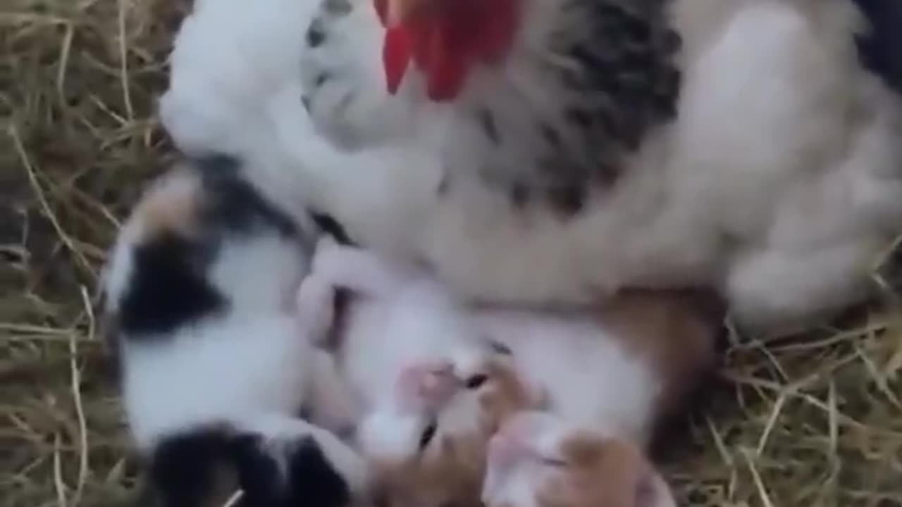 A mother is always a mother even if she's a step mom 😂