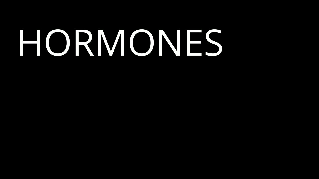 The Heart's Descent into Chaos | Poe - Part 4