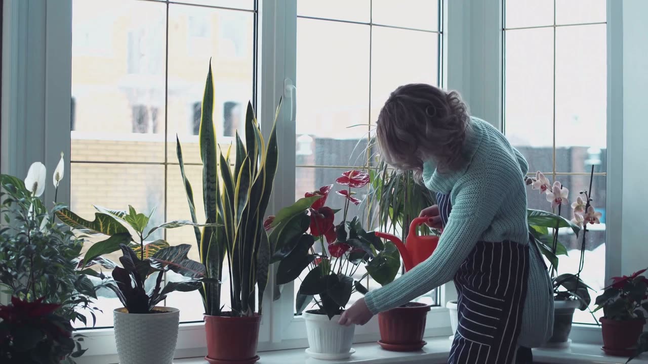 🌱 Container Gardening Drainage Holes Too Small: 7 Fixes to Avoid Disaster (Fast!) 🌧️