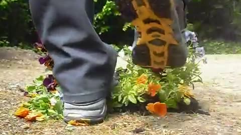 Adidas Stomping Flowers - Male Content