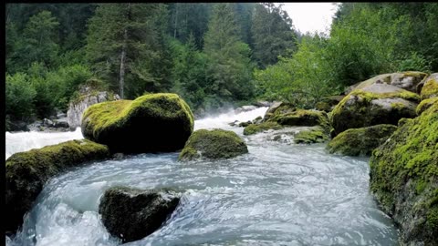River Flow Meditation Music – Live Relaxation for Mind, Body & Soul