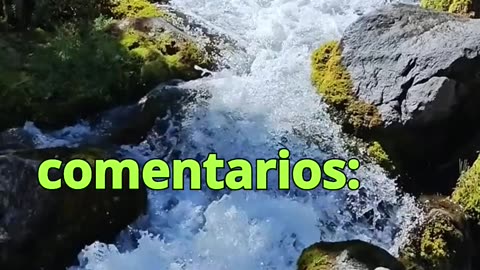 😊 203 EL UNIVERSO RESPONDE A TU VIBRACIÓN 😊