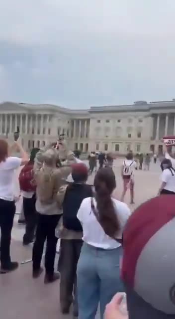 Democrat anti-ICE Protesters Stormed the Capitol - INSURRECTIONISTS!