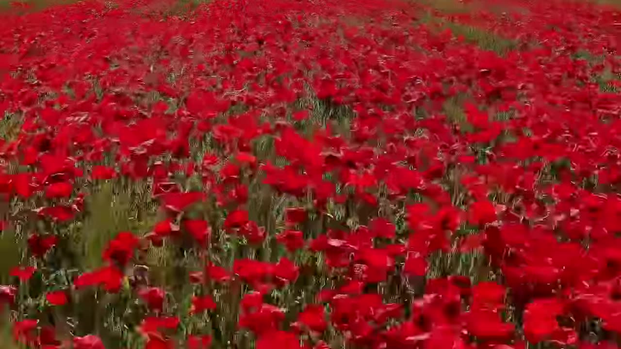 la natura a morocco