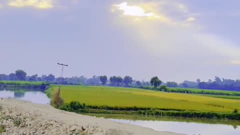My Village Beauty ❤ #maxrecords #larkana #sindh #pakistan