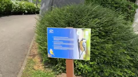 Het Europees Parlement in Straatsburg 29 april 2024