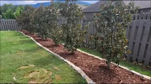 Fast & Dependable Landscapes