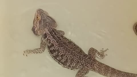 Bath Time... Or Swim Time?!