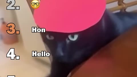 Ranking Best Black Cats Void Moments