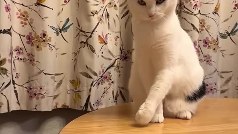 Weighing In At Absolutely Zero Pounds!