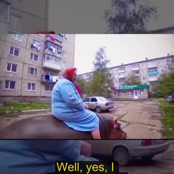 A Grandma, a Hippo, and the Collapse of Common Sense