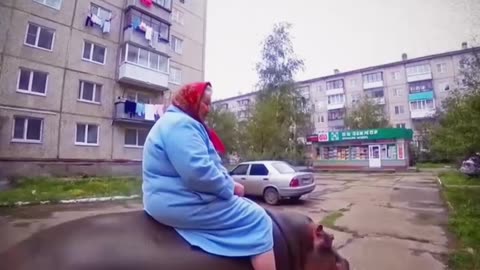 A Grandma, a Hippo, and the Collapse of Common Sense