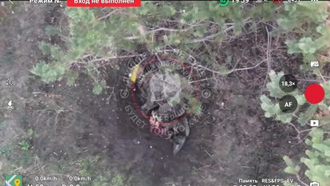 Why did the ukrop stop running? Archival footage from the Yampol area.