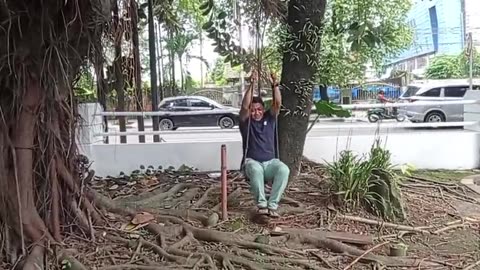 Fun and Relaxation: Playing on a Rope Swing