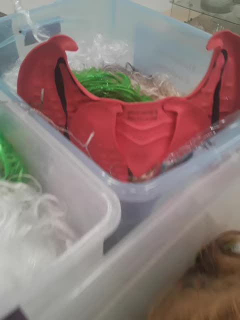 Tubs full of antifa members