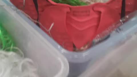 Tubs full of antifa members