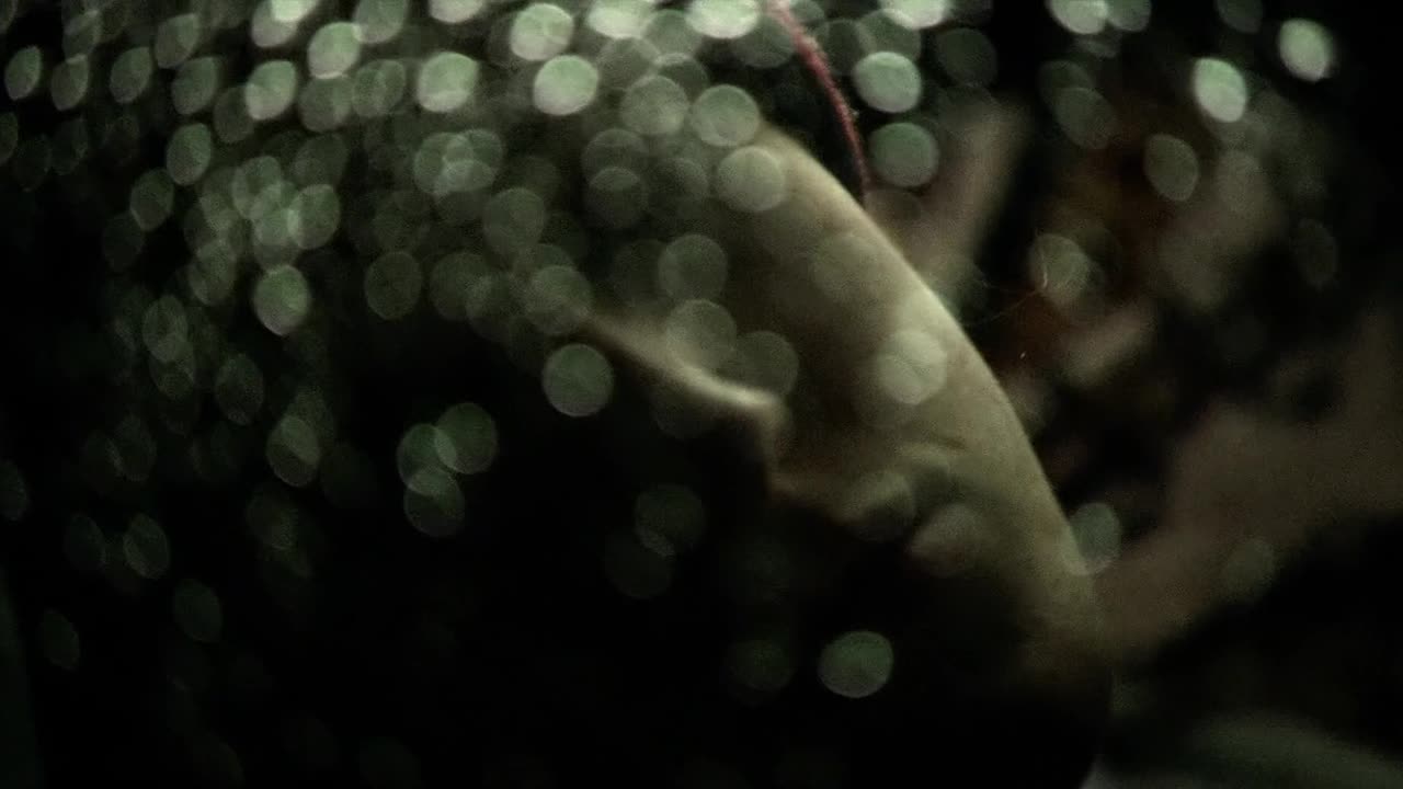 Wolf Creek - Viagem ao Inferno (2005)