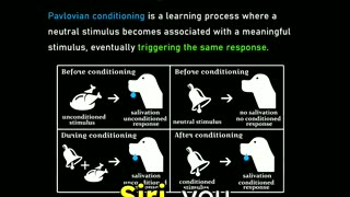 AI Decodes Unconventional Minds - Michael Levin with Lex Fridman #aiinterface