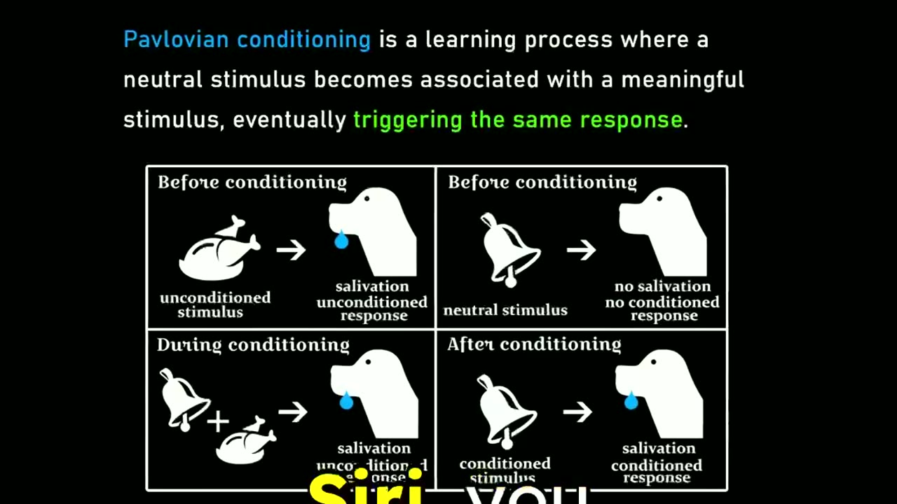 AI Decodes Unconventional Minds - Michael Levin with Lex Fridman #aiinterface
