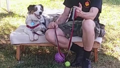 Leash Handling Skills short 1a