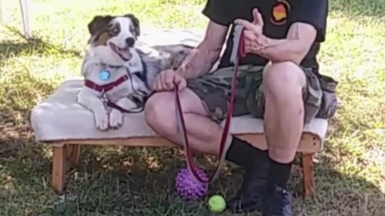 Leash Handling Skills short 1a