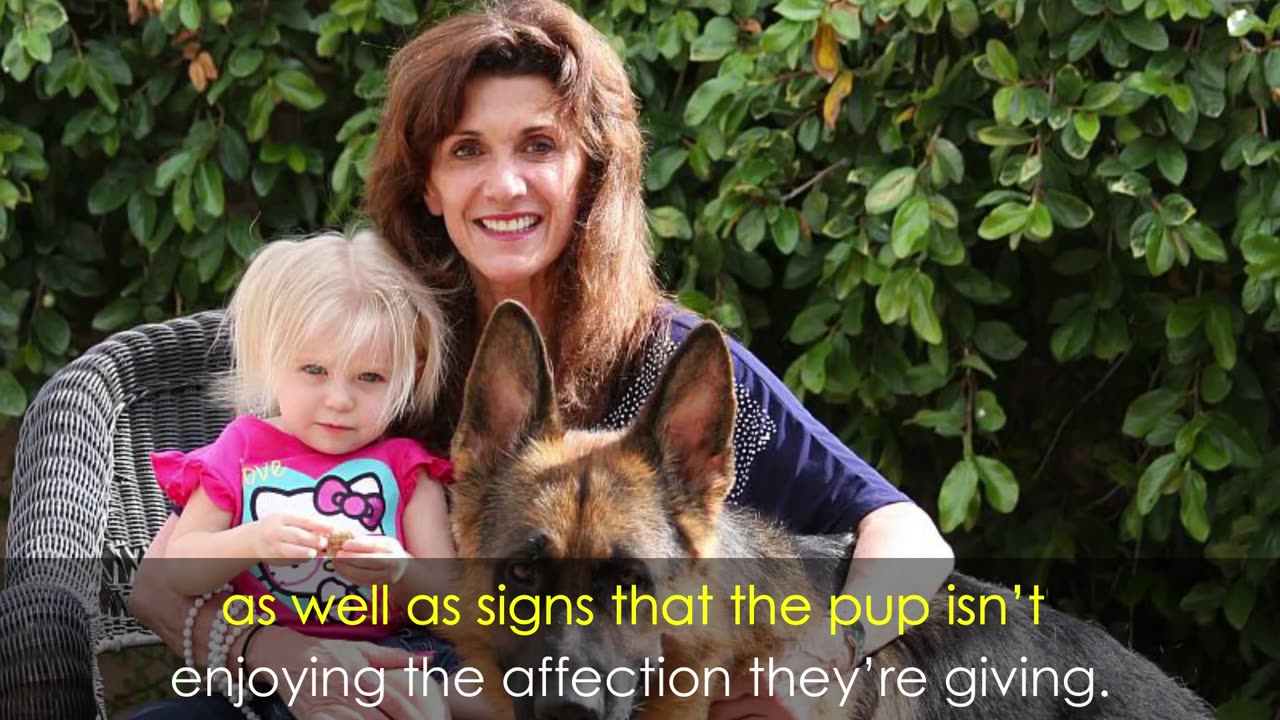 Are German Shepherds Good With Kids