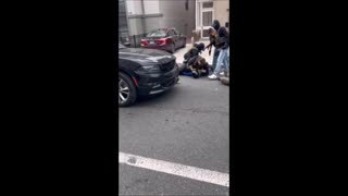 DC Secret Police Very Professional